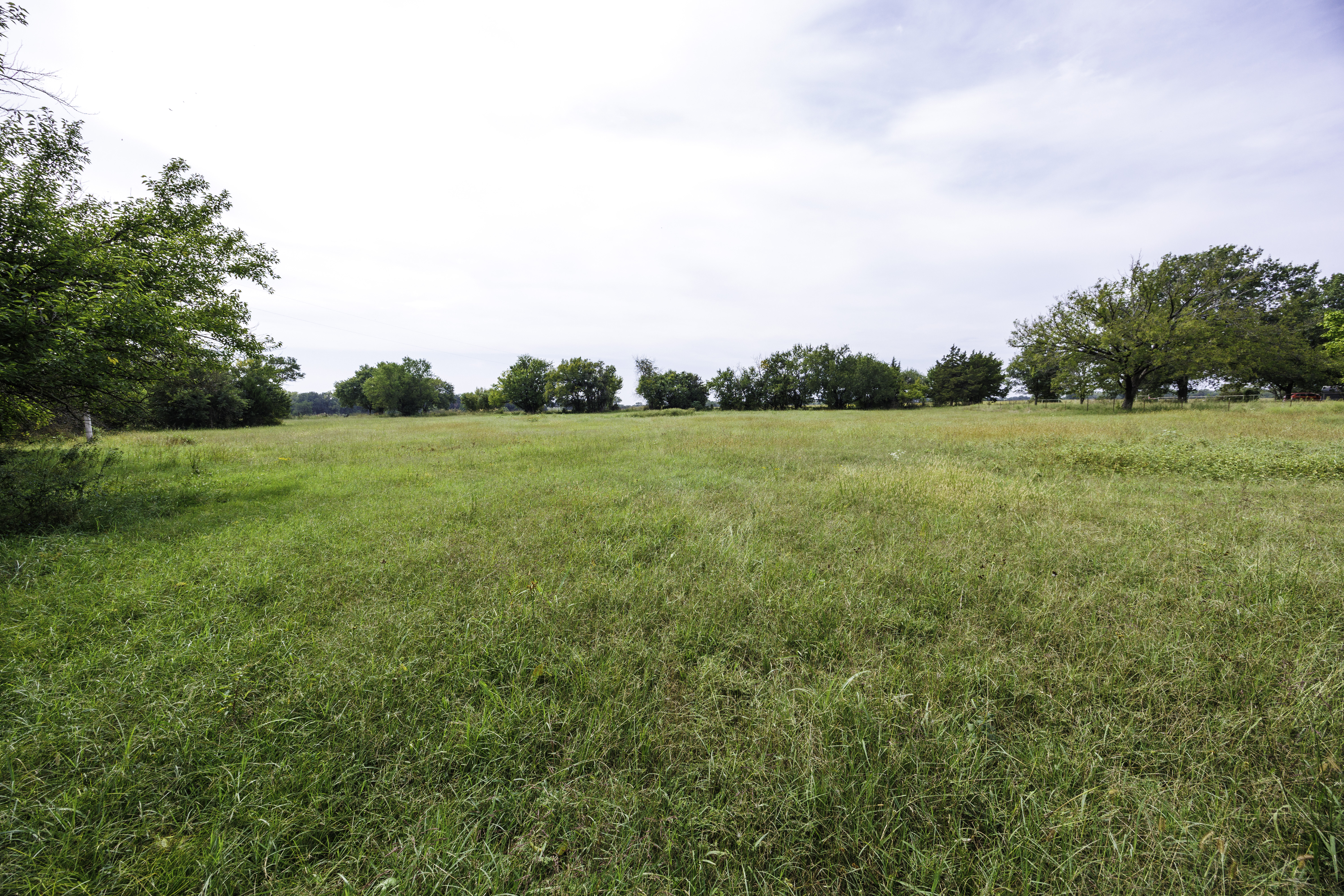 Kansas pasture and grassland auction