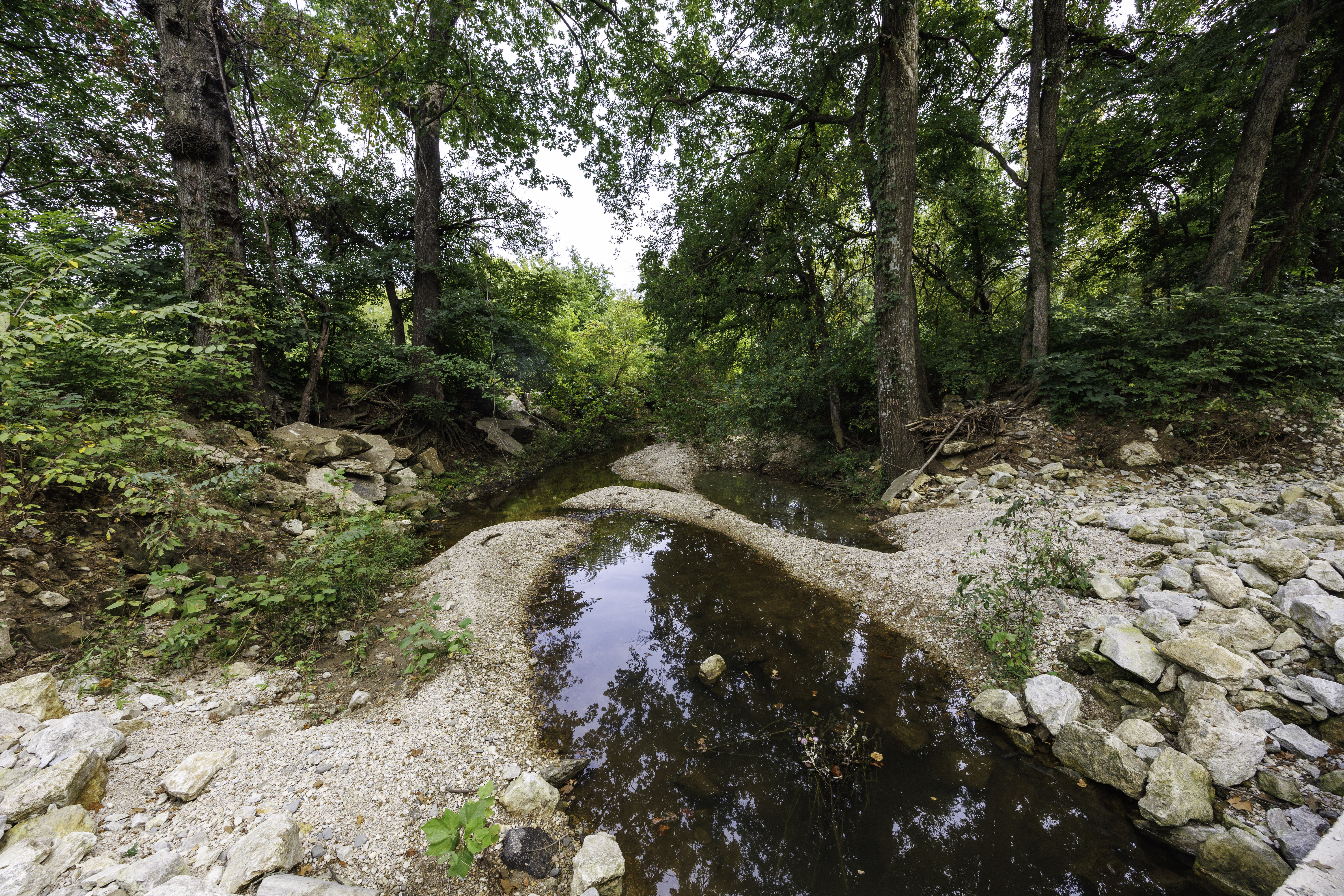 Kansas auction property landscape